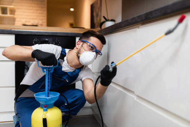 Best Best Pest Control Companies  in East Alton, IL