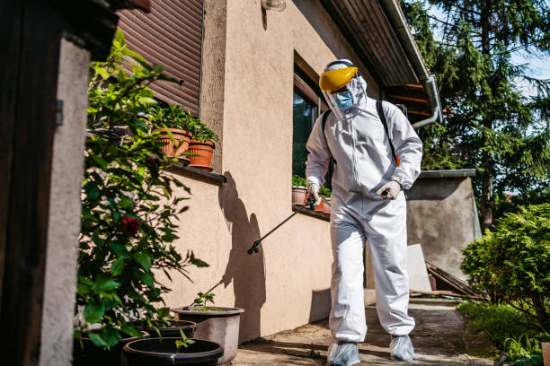 Best Affordable Pest Control Services  in East Alton, IL