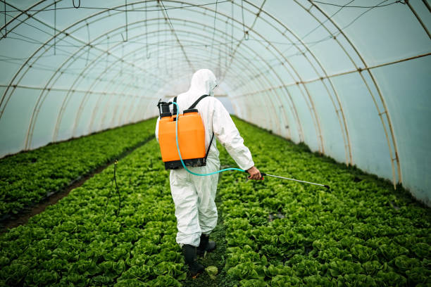 Best Ant Control Services  in East Alton, IL