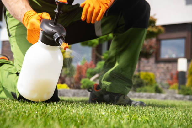 Best Mosquito Control Services  in East Alton, IL