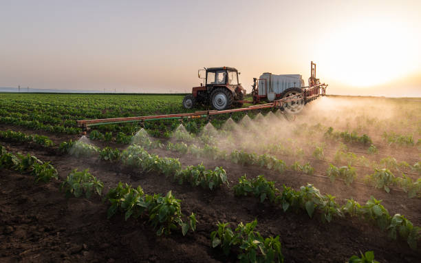 Best Pest Prevention Services  in East Alton, IL