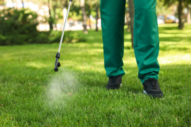 Best Emergency Pest Control  in East Alton, IL