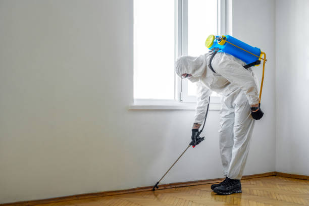 Best Wasp Removal Services  in East Alton, IL