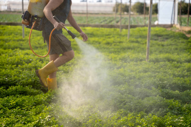 Best Pest Inspection Near Me  in East Alton, IL