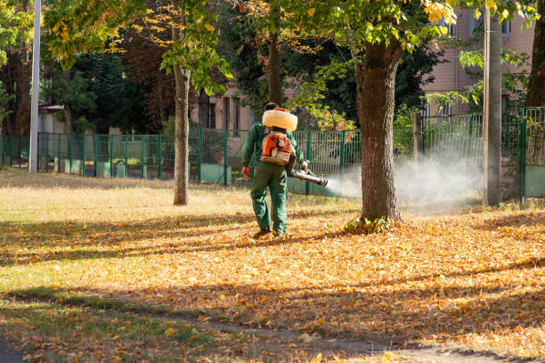  East Alton, IL Pest Control Pros