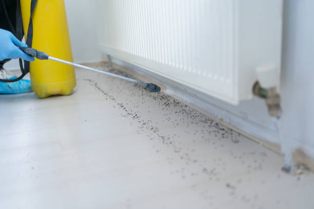  East Alton, IL Pest Control Pros