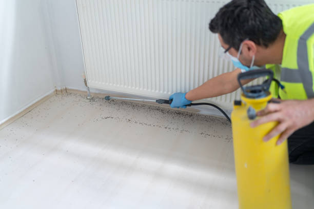 Best Residential Pest Control  in East Alton, IL